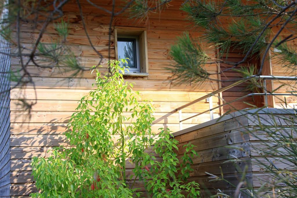 Residence Cala Sultana 포르토베쉬오 외부 사진